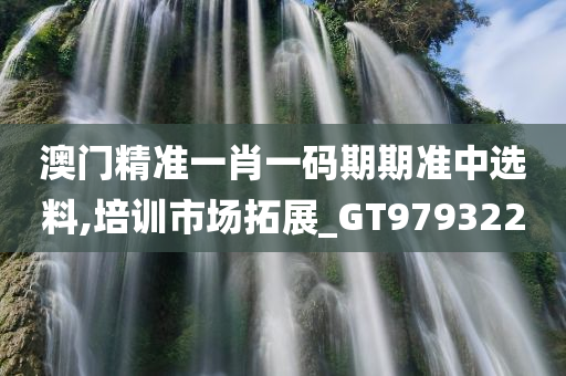 澳门精准一肖一码期期准中选料,培训市场拓展_GT979322