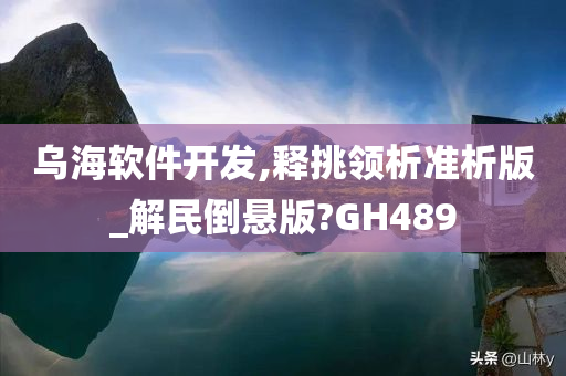 乌海软件开发,释挑领析准析版_解民倒悬版?GH489