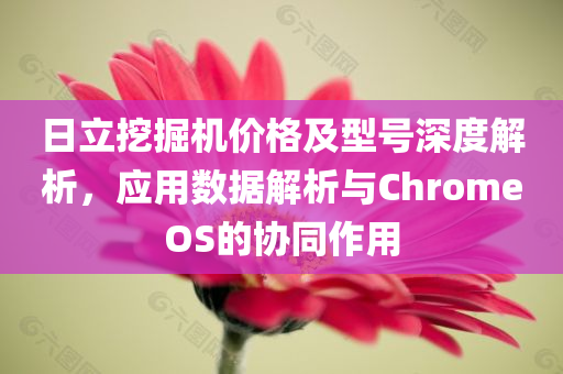 日立挖掘机价格及型号深度解析，应用数据解析与ChromeOS的协同作用