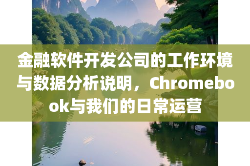 金融软件开发公司的工作环境与数据分析说明，Chromebook与我们的日常运营