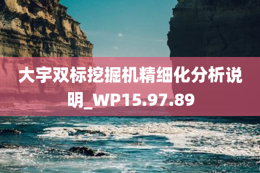 大宇双标挖掘机精细化分析说明_WP15.97.89