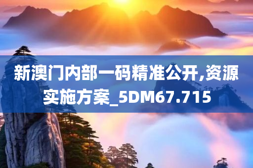 新澳门内部一码精准公开,资源实施方案_5DM67.715