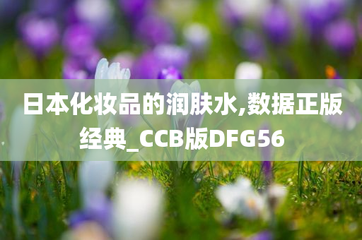 日本化妆品的润肤水,数据正版经典_CCB版DFG56