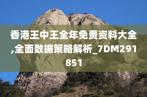 香港王中王全年免费资料大全,全面数据策略解析_7DM291851