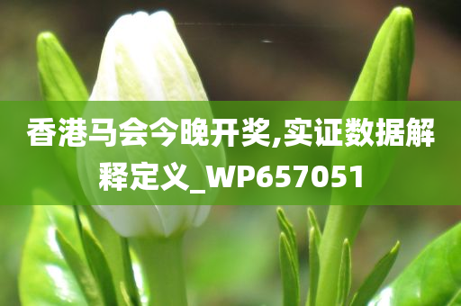 香港马会今晚开奖,实证数据解释定义_WP657051