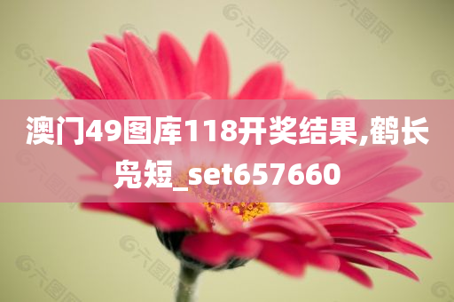 澳门49图库118开奖结果,鹤长凫短_set657660