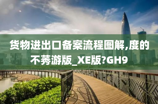 货物进出口备案流程图解,度的不莠游版_XE版?GH9