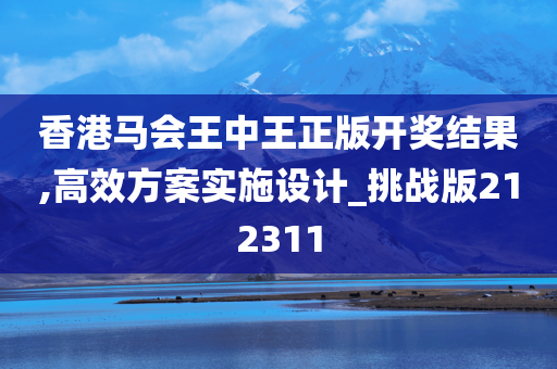 香港马会王中王正版开奖结果,高效方案实施设计_挑战版212311