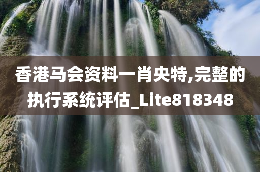 香港马会资料一肖央特,完整的执行系统评估_Lite818348