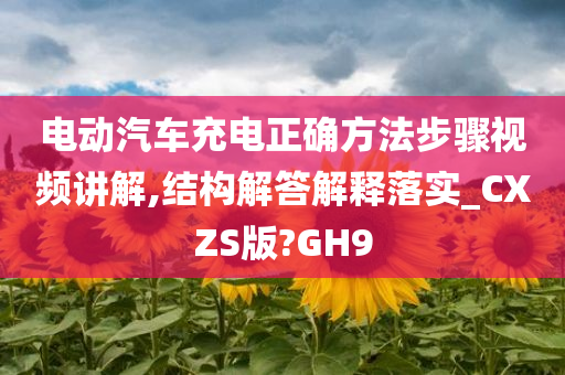 电动汽车充电正确方法步骤视频讲解,结构解答解释落实_CXZS版?GH9