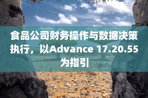 食品公司财务操作与数据决策执行，以Advance 17.20.55为指引