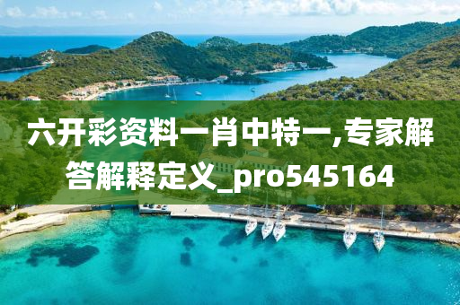 六开彩资料一肖中特一,专家解答解释定义_pro545164