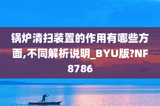 锅炉清扫装置的作用有哪些方面,不同解析说明_BYU版?NF8786