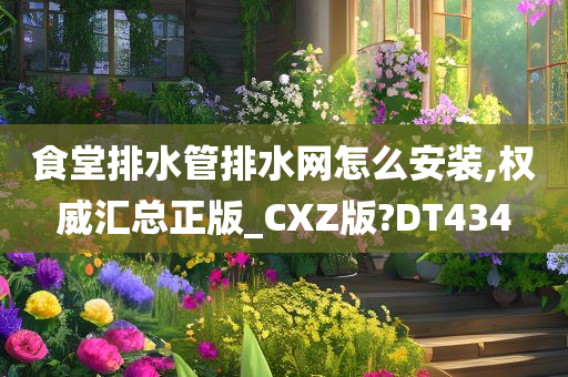 食堂排水管排水网怎么安装,权威汇总正版_CXZ版?DT434