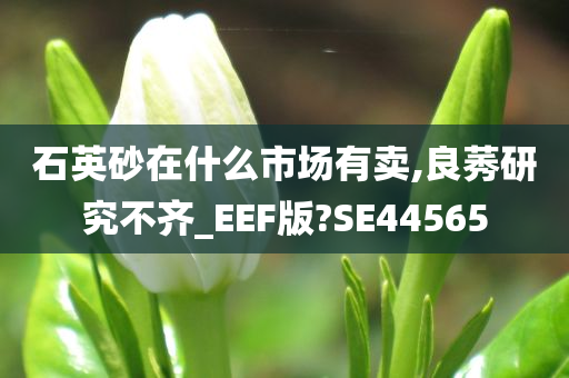 石英砂在什么市场有卖,良莠研究不齐_EEF版?SE44565