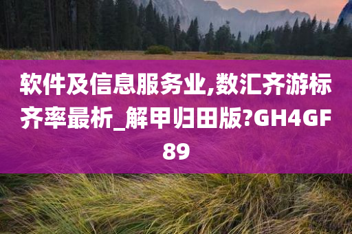 软件及信息服务业,数汇齐游标齐率最析_解甲归田版?GH4GF89