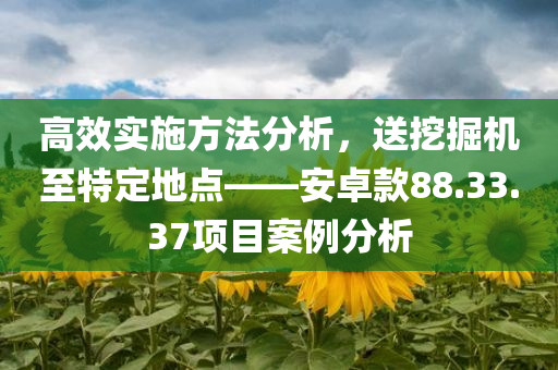 高效实施方法分析，送挖掘机至特定地点——安卓款88.33.37项目案例分析