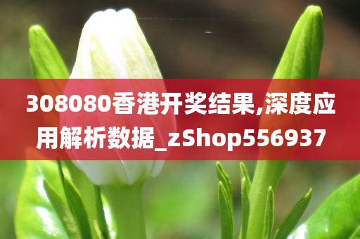 308080香港开奖结果,深度应用解析数据_zShop556937