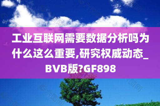 工业互联网需要数据分析吗为什么这么重要,研究权威动态_BVB版?GF898