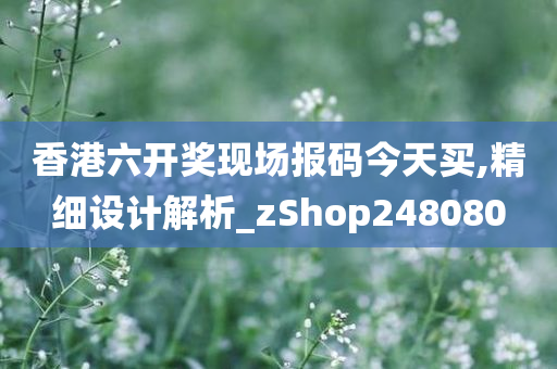 香港六开奖现场报码今天买,精细设计解析_zShop248080