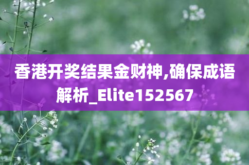 香港开奖结果金财神,确保成语解析_Elite152567