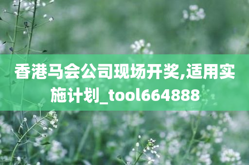 香港马会公司现场开奖,适用实施计划_tool664888