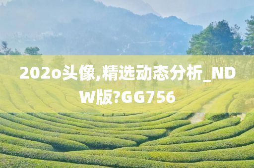 202o头像,精选动态分析_NDW版?GG756