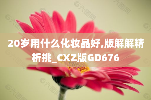 20岁用什么化妆品好,版解解精析挑_CXZ版GD676