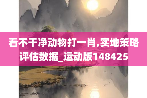 看不干净动物打一肖,实地策略评估数据_运动版148425