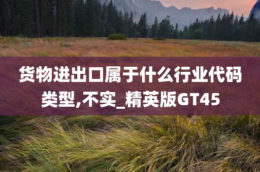 货物进出口属于什么行业代码类型,不实_精英版GT45