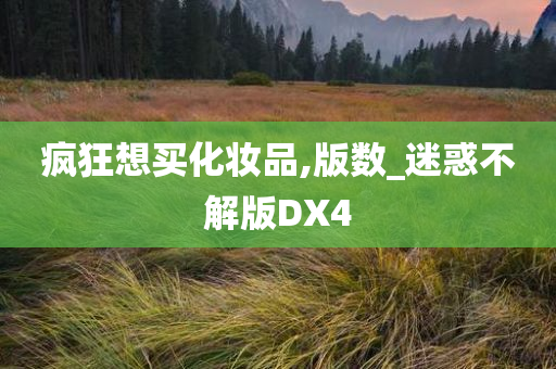 疯狂想买化妆品,版数_迷惑不解版DX4