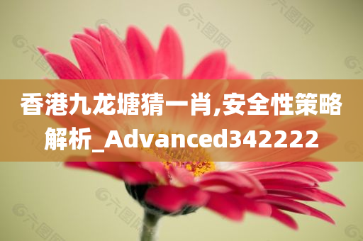 香港九龙塘猜一肖,安全性策略解析_Advanced342222