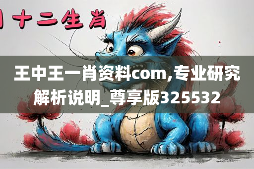 王中王一肖资料com,专业研究解析说明_尊享版325532