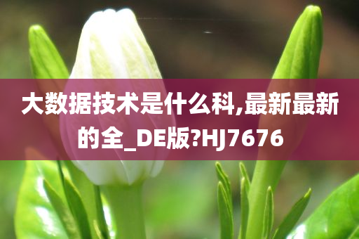 大数据技术是什么科,最新最新的全_DE版?HJ7676