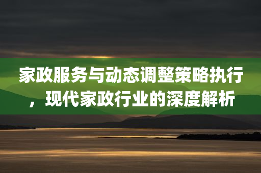 家政服务与动态调整策略执行，现代家政行业的深度解析