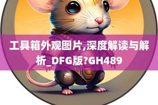 工具箱外观图片,深度解读与解析_DFG版?GH489