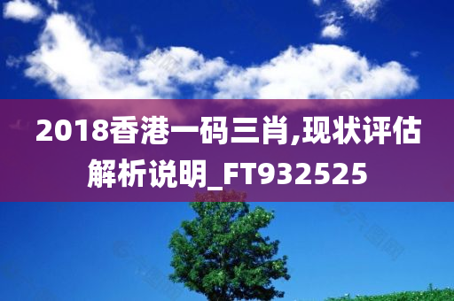 2018香港一码三肖,现状评估解析说明_FT932525