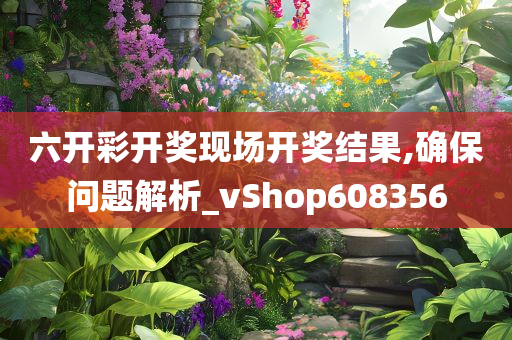 六开彩开奖现场开奖结果,确保问题解析_vShop608356