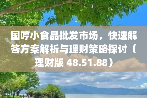 国哼小食品批发市场，快速解答方案解析与理财策略探讨（理财版 48.51.88）