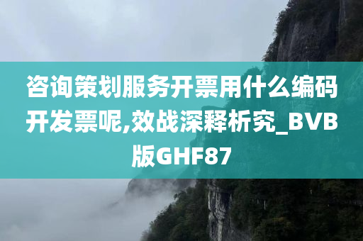 咨询策划服务开票用什么编码开发票呢,效战深释析究_BVB版GHF87