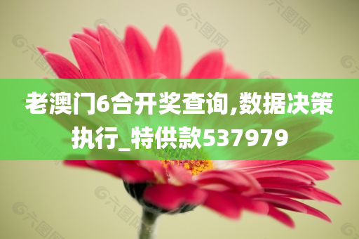 老澳门6合开奖查询,数据决策执行_特供款537979