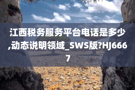 江西税务服务平台电话是多少,动态说明领域_SWS版?HJ6667