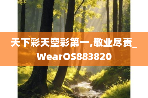 天下彩天空彩第一,敬业尽责_WearOS883820