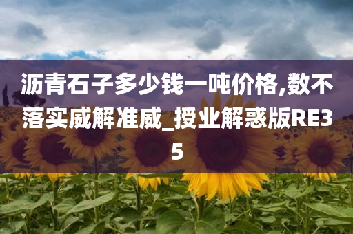 沥青石子多少钱一吨价格,数不落实威解准威_授业解惑版RE35