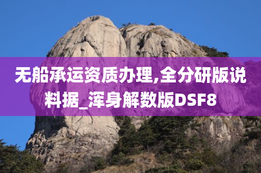 无船承运资质办理,全分研版说料据_浑身解数版DSF8