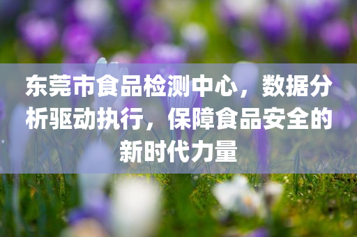 东莞市食品检测中心，数据分析驱动执行，保障食品安全的新时代力量