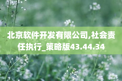 北京软件开发有限公司,社会责任执行_策略版43.44.34