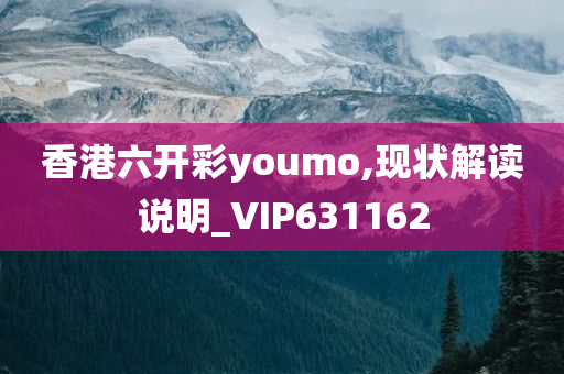 香港六开彩youmo,现状解读说明_VIP631162