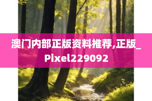 澳门内部正版资料推荐,正版_Pixel229092