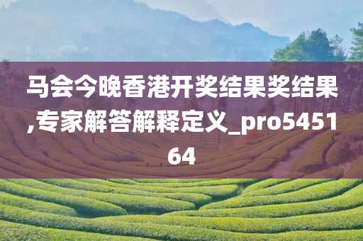 马会今晚香港开奖结果奖结果,专家解答解释定义_pro545164